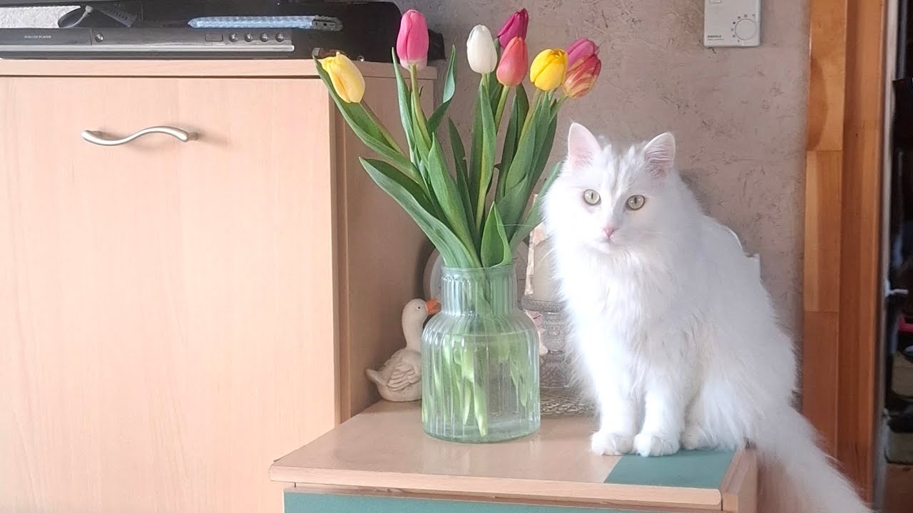 #1/26 Свадебные конверты💝, новогодние теги✨️, мой первый заказ в Скрапмании