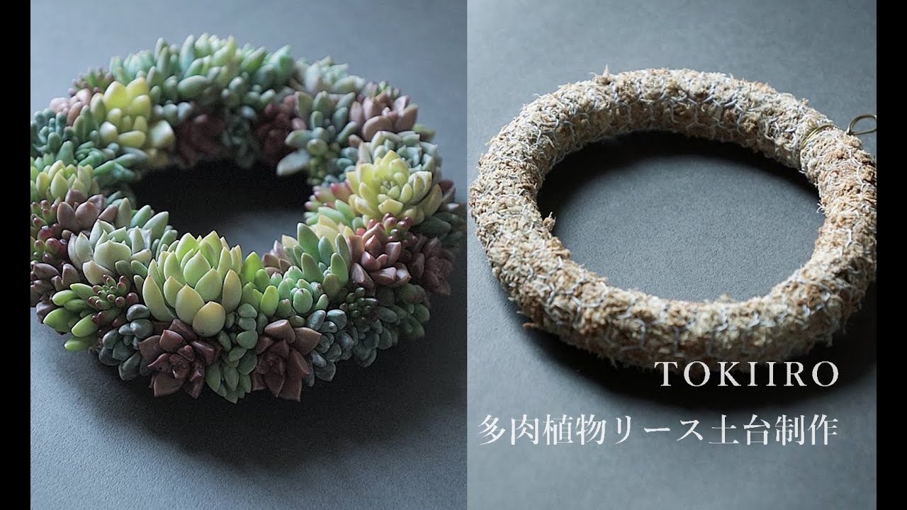 ［保存版］TOKIIRO多肉植物リース土台の作り方