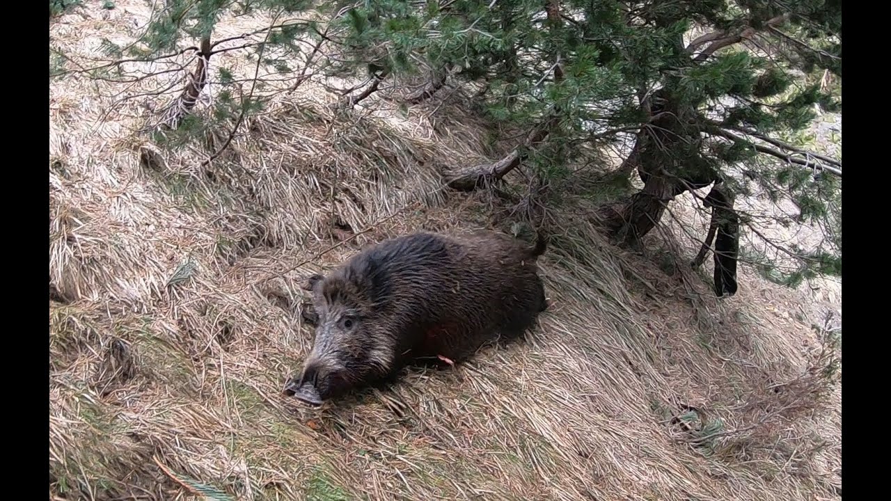 Lances de infarto a Jabal&iacute; en el Pirineo Aragon&eacute;s