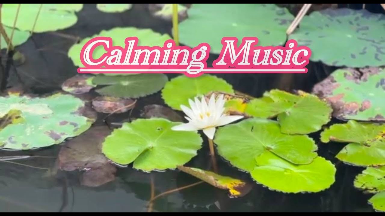 Calming Music Relieves Stress, Calm Anxiety & Depression Deep 🌿 Healing Music for Sleep