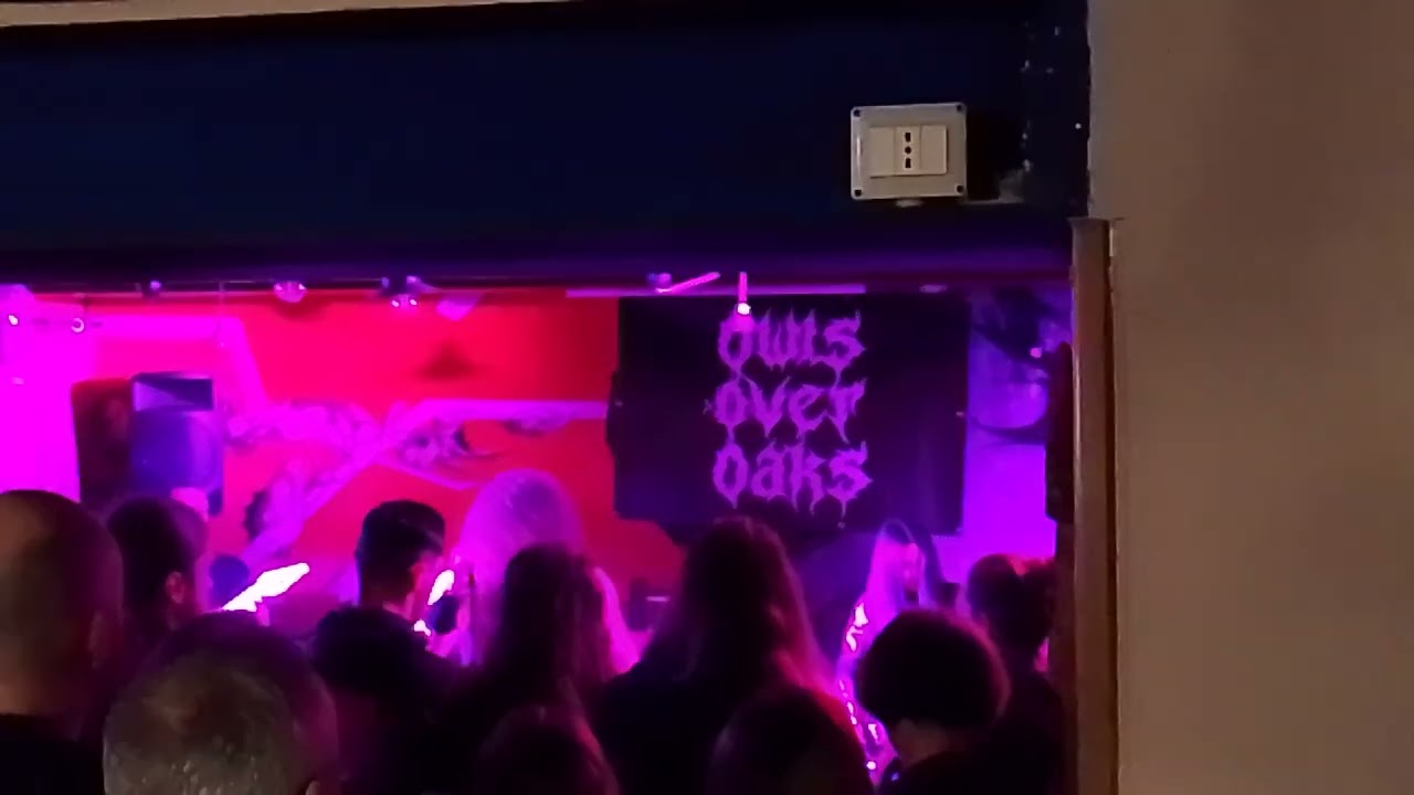 HarvesT live - Punky Raggae Pub - 15/02/2026