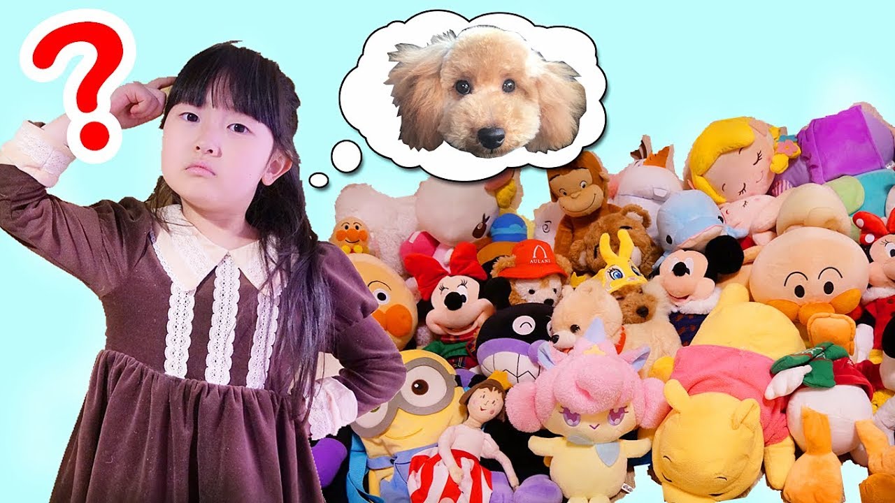 【寸劇】ワンちゃんが家の中から消えた！大量のぬいぐるみから本物の犬を探そう！ - はねまりチャンネル