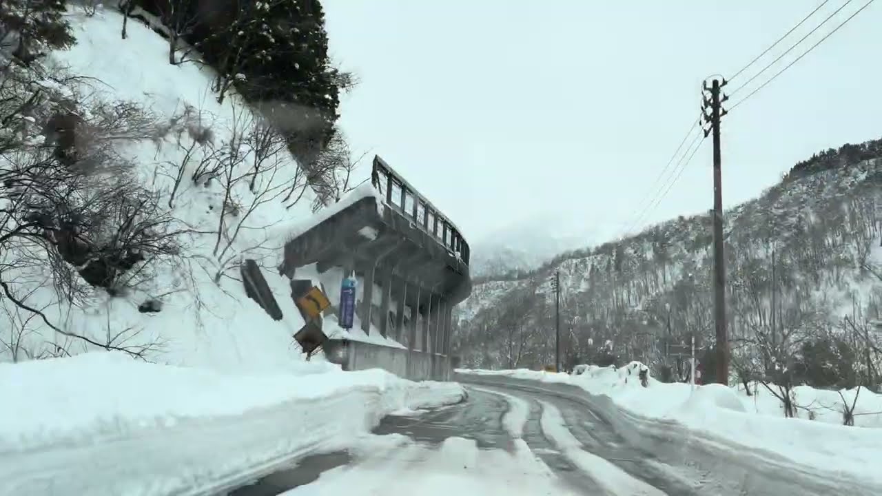 On a winter day, I came across a young boar on my way back from Tateyama Station.