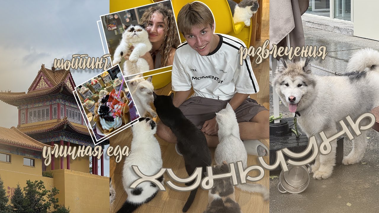 VLOG 2 // Хуньчунь: храм Будды, шоппинг, уличная еда, котокафе