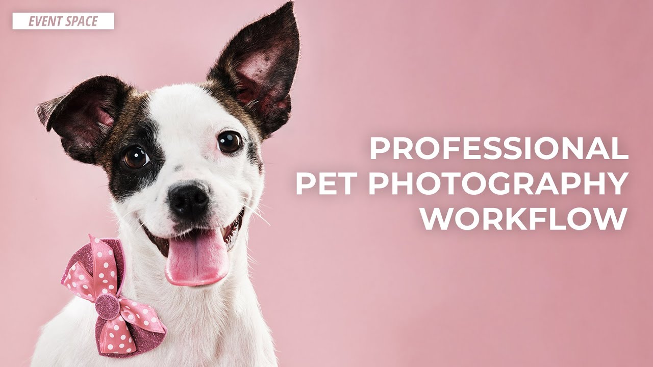 Professional Pet Photography Workflow | B&H Event Space