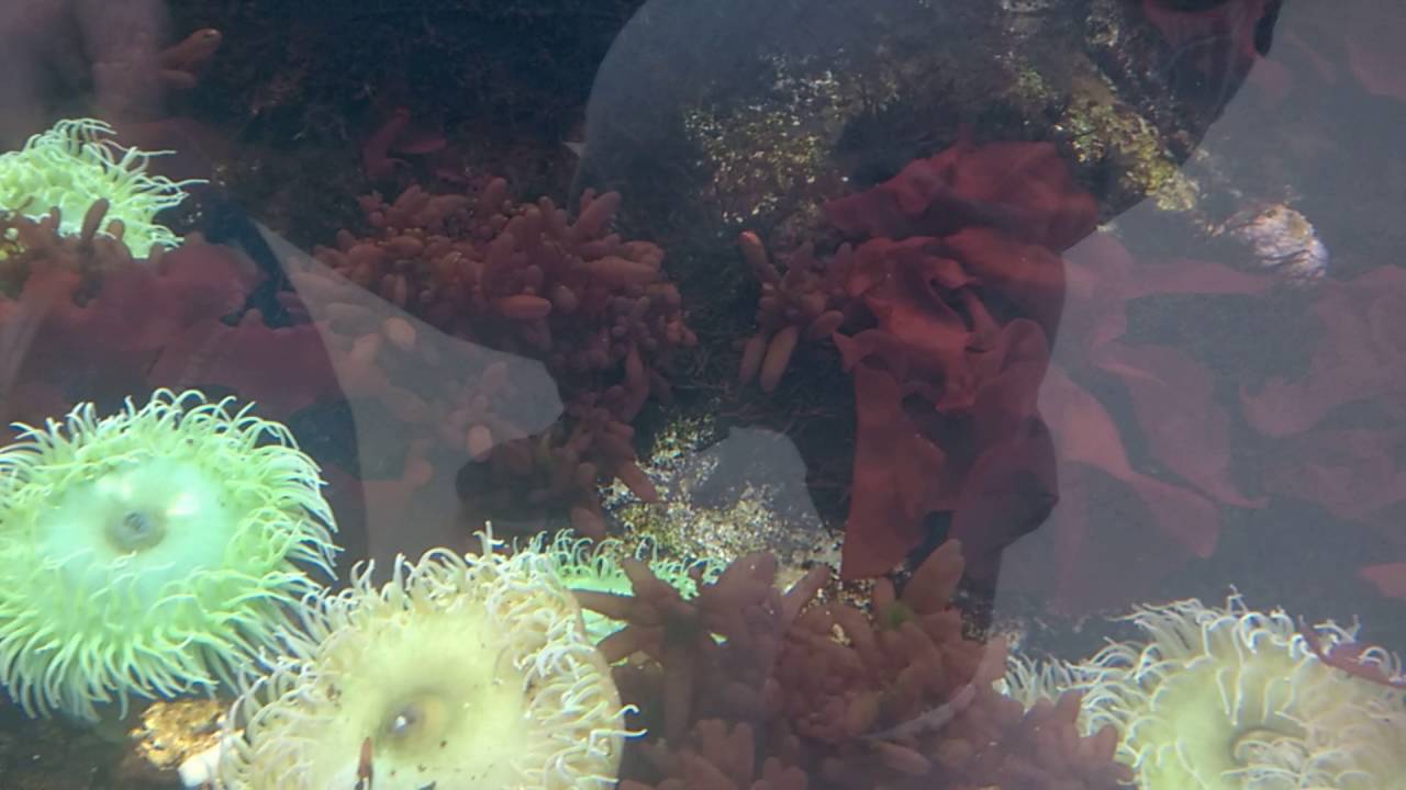 WP_20160515_14_47_42_Pro.mp4