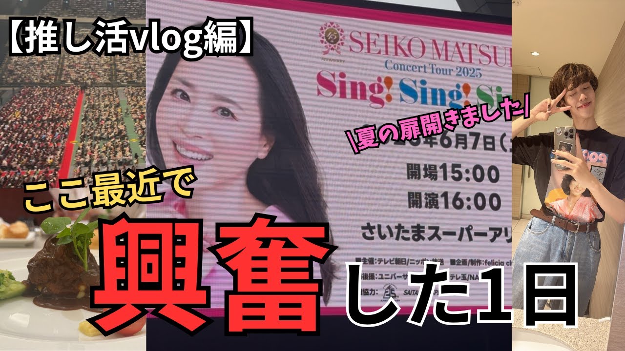 【日常Vlog】聖子ちゃん「”45周年”コンサート2025」行ったら昭和に産まれ直したくなった