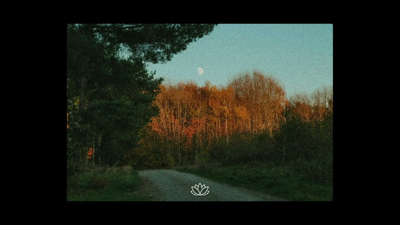 Zach Bryan x Acoustic Guitar Type Beat - “Nobody”