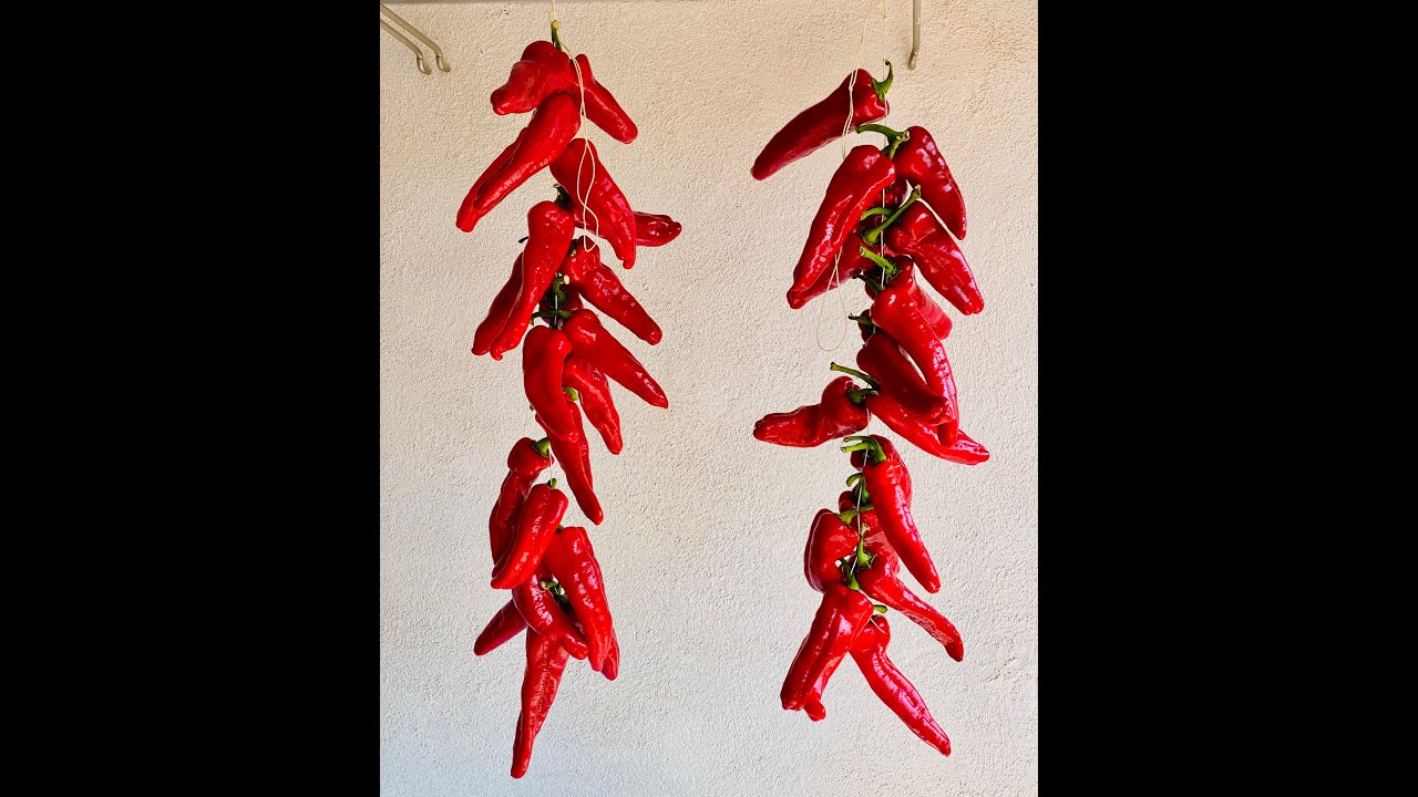 PEPERONI CRUSCHI 🌶  Come vanno Seccati e Cucinati
