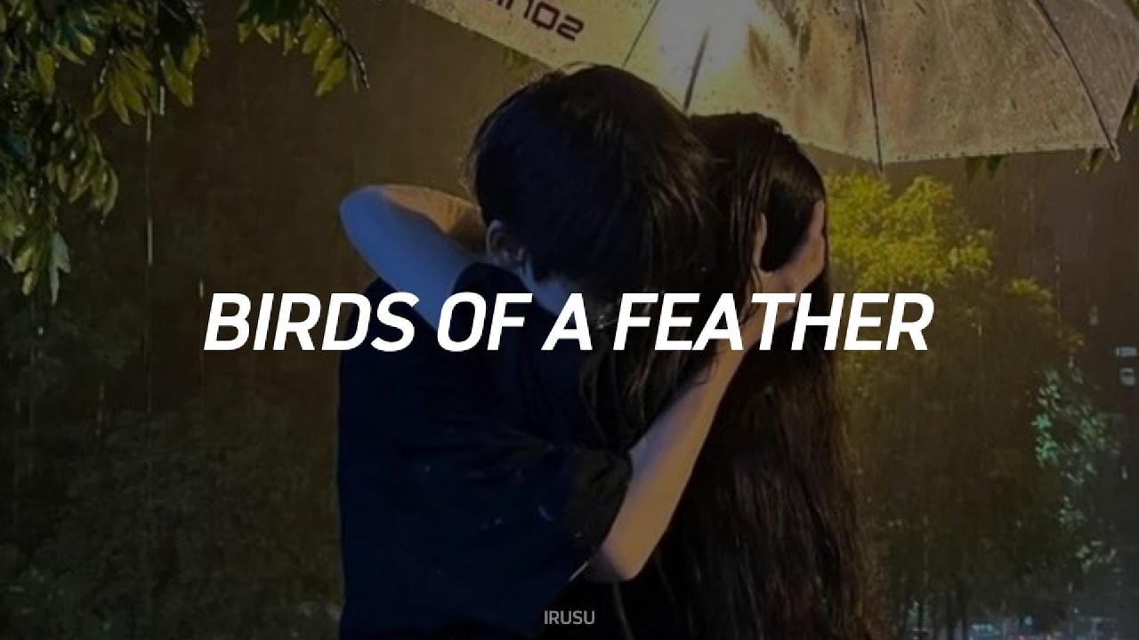BIRDS OF A FEATHER - BILLIE EILISH | SUB ESPAÑOL