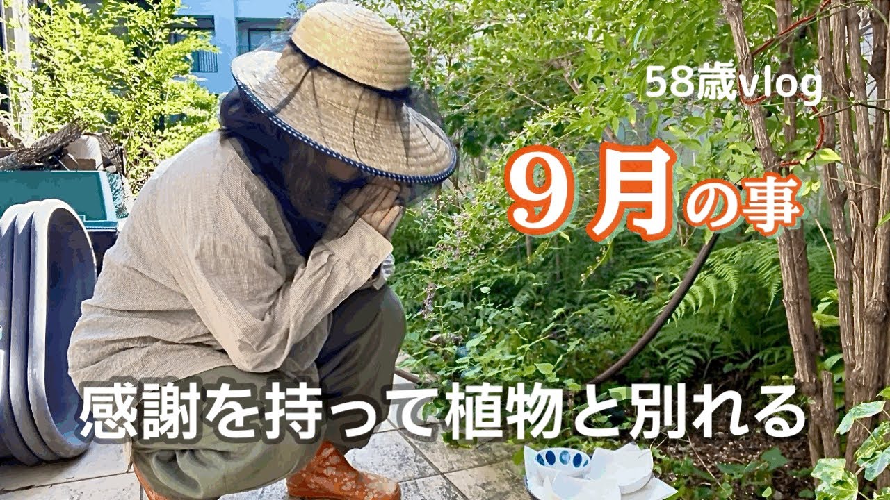 ９月　感謝して植物と別れて好きな庭作りを始めました／久しぶりの銀座でお買い物・美容院で生き返り✨