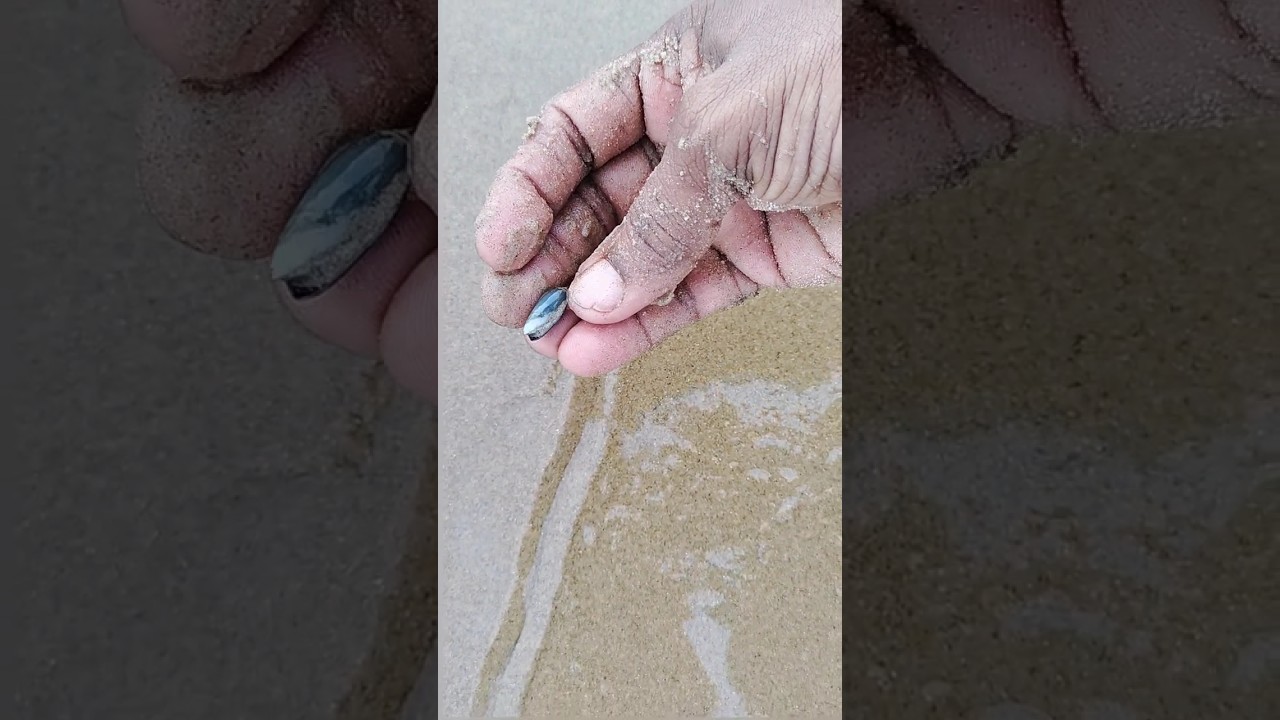 Snails 🐌🐌😱 indentification near 🌊 #chirala #beach #ramapuram #resort #snail #shorts #shortvideo
