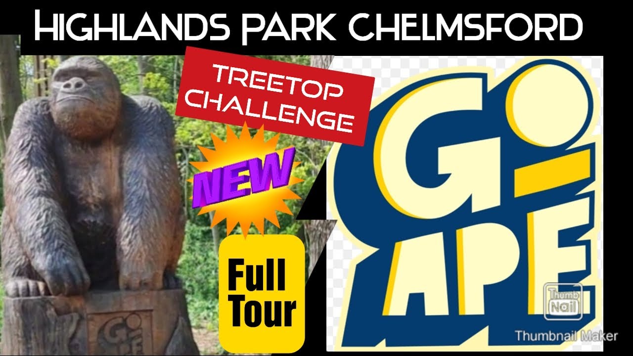 Go Ape Chelmsford Highlands Park - Treetop Challenge Full Tour 🌲🌳🪾 What to expect 😯 Zip Lines 👍