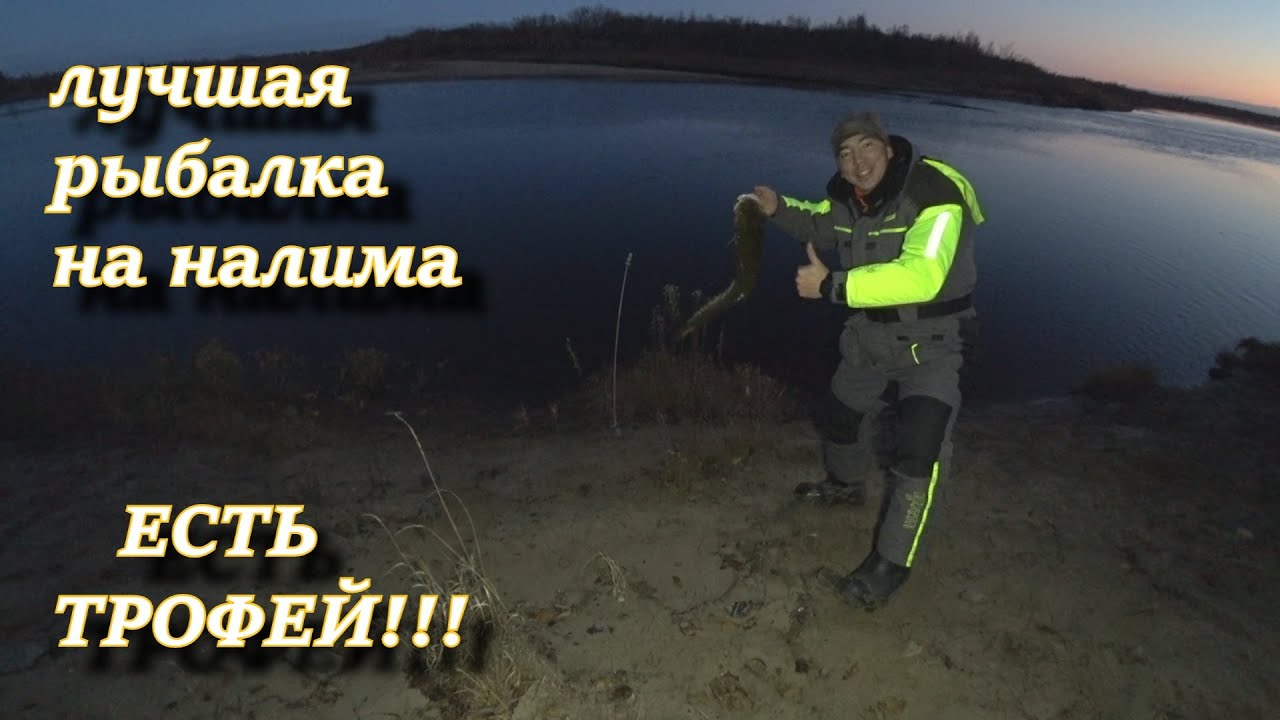 ЛУЧШАЯ РЫБАЛКА НА НАЛИМА!!! ЕСТЬ ТРОФЕЙ!!! рыбалка на налима осенью 2020. налим на донки !