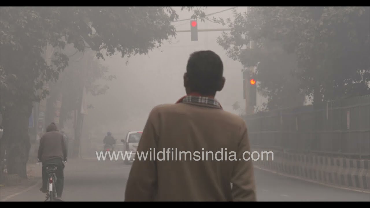 Heavy winter smog conditions in Fatehpur Beri, Chhatarpur, New Delhi.