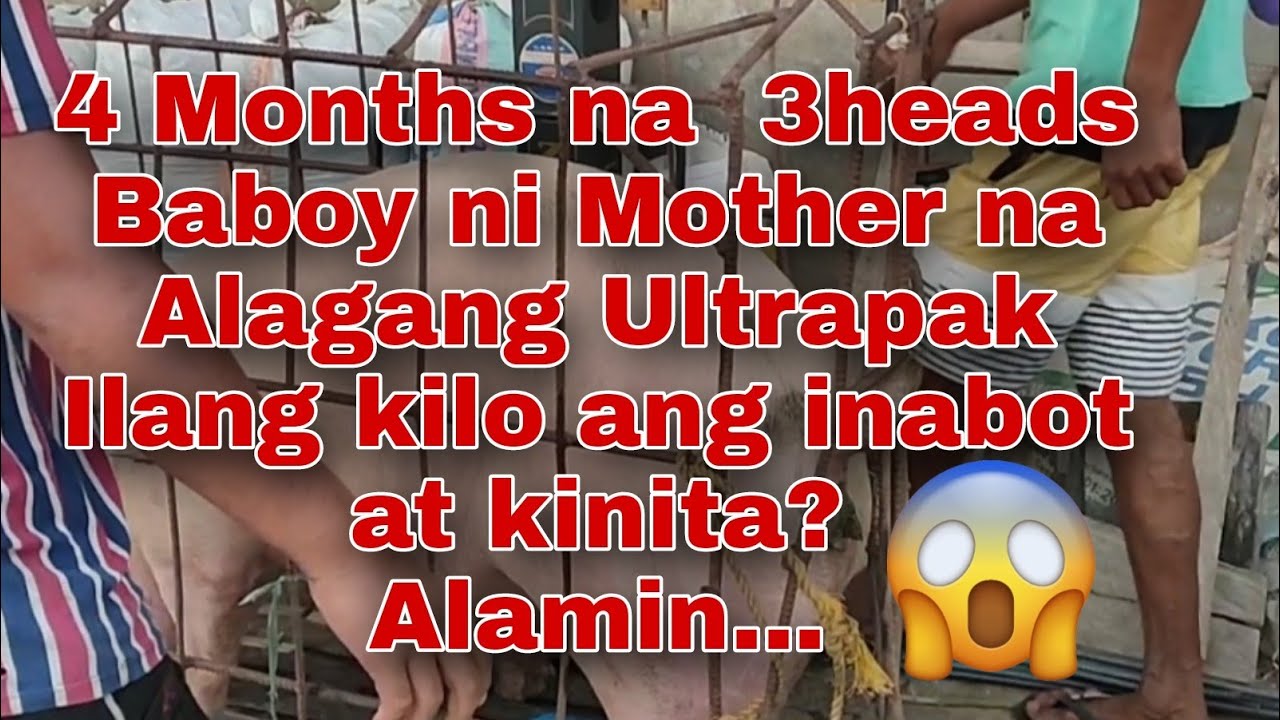 4 Months na Baboy ni Mother ko alagang Ultrapak magkano ang inabot na kilo and Kita?