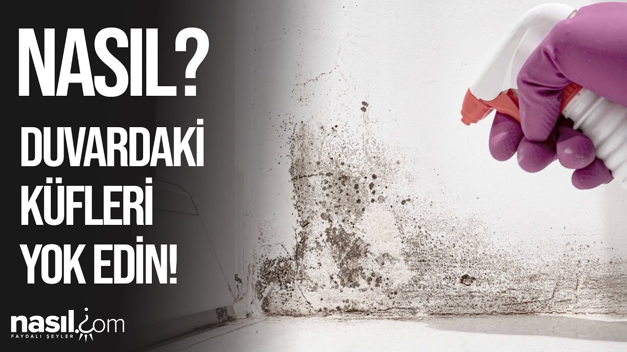 DUVARDAKİ KÜF NASIL GEÇER? KÜF NEDEN OLUR? NASIL TEMİZLENİR? #küf #temizlik #nasıl