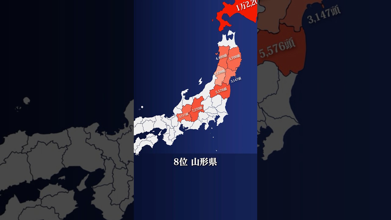クマの生息数トップ10の都道府県とは？#雑学