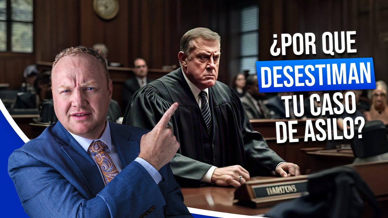 ¿⁣Que hacer si tu caso de asilo fue desestimado?
