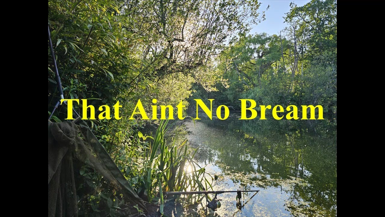 The Nursery - The Lake Time Forgot