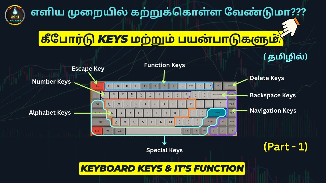 Computer Keyboard Keys & It's Function | கம்ப்யூட்டர் கீபோர்டு விசைகளும் & பயன்பாடுகளும் (Part - 1)