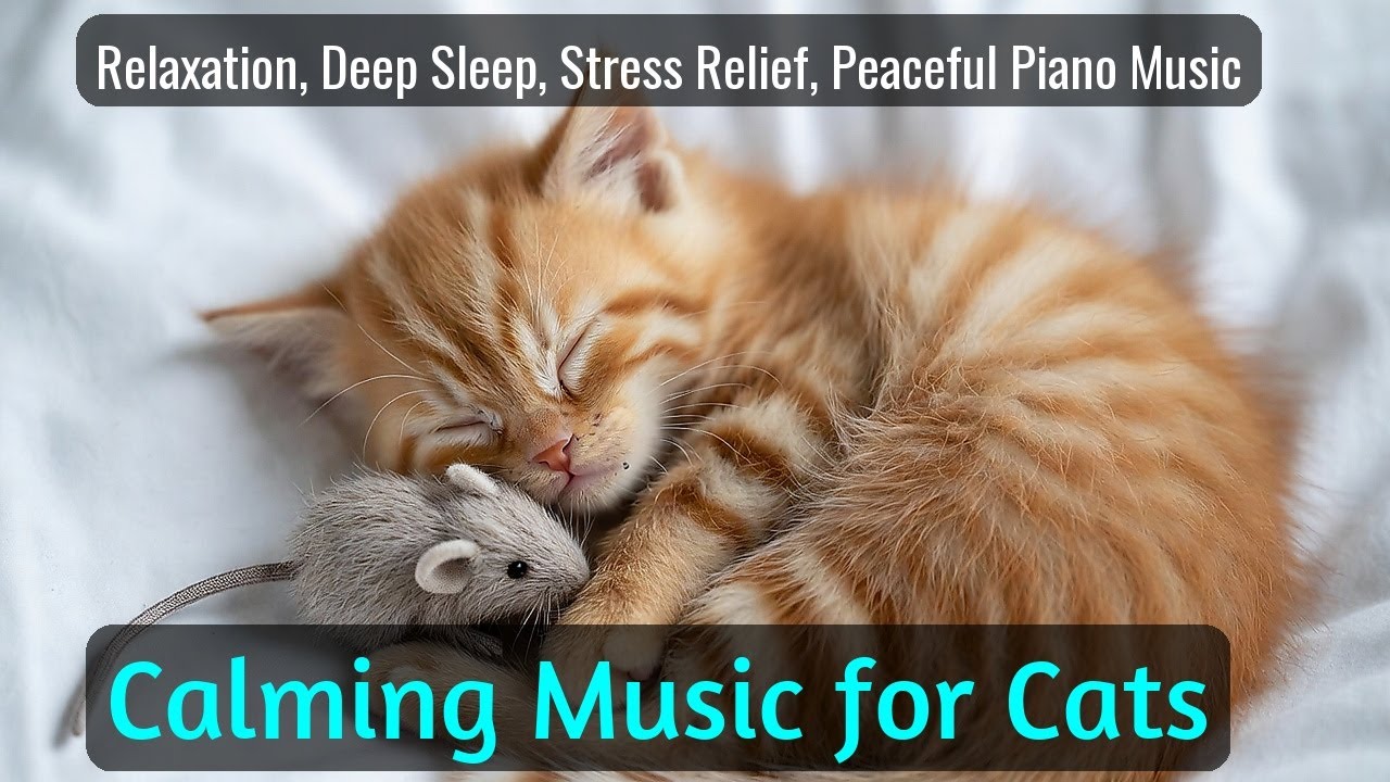 Calming Music for Cats - Relaxation, Deep Sleep, Stress Relief, Peaceful Piano Music | Season 39