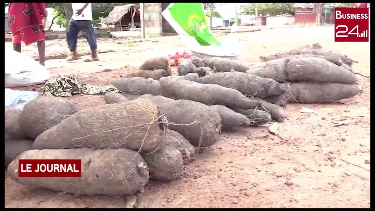 BONDOUKOU: Le peuple Koulango du Gontougo c&eacute;l&egrave;bre ses retrouvailles
