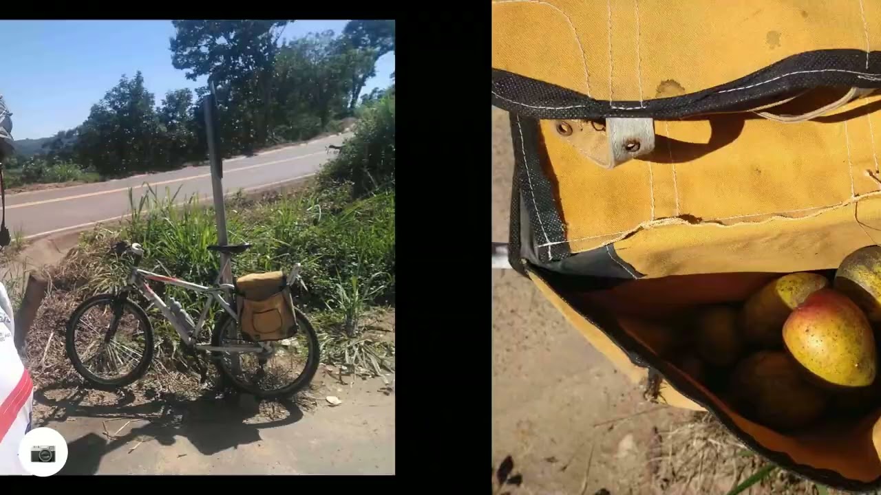 Pedal Com Colheita de Mangas