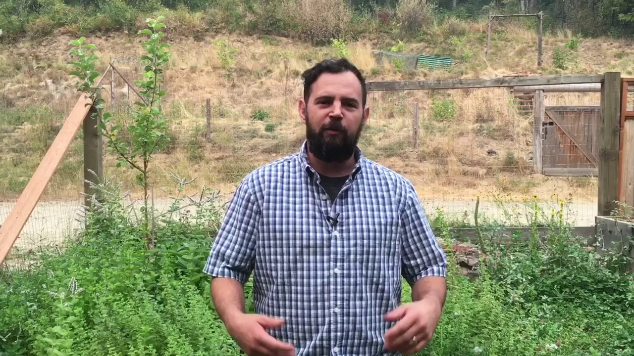 Fundamentals of Permaculture Workshop