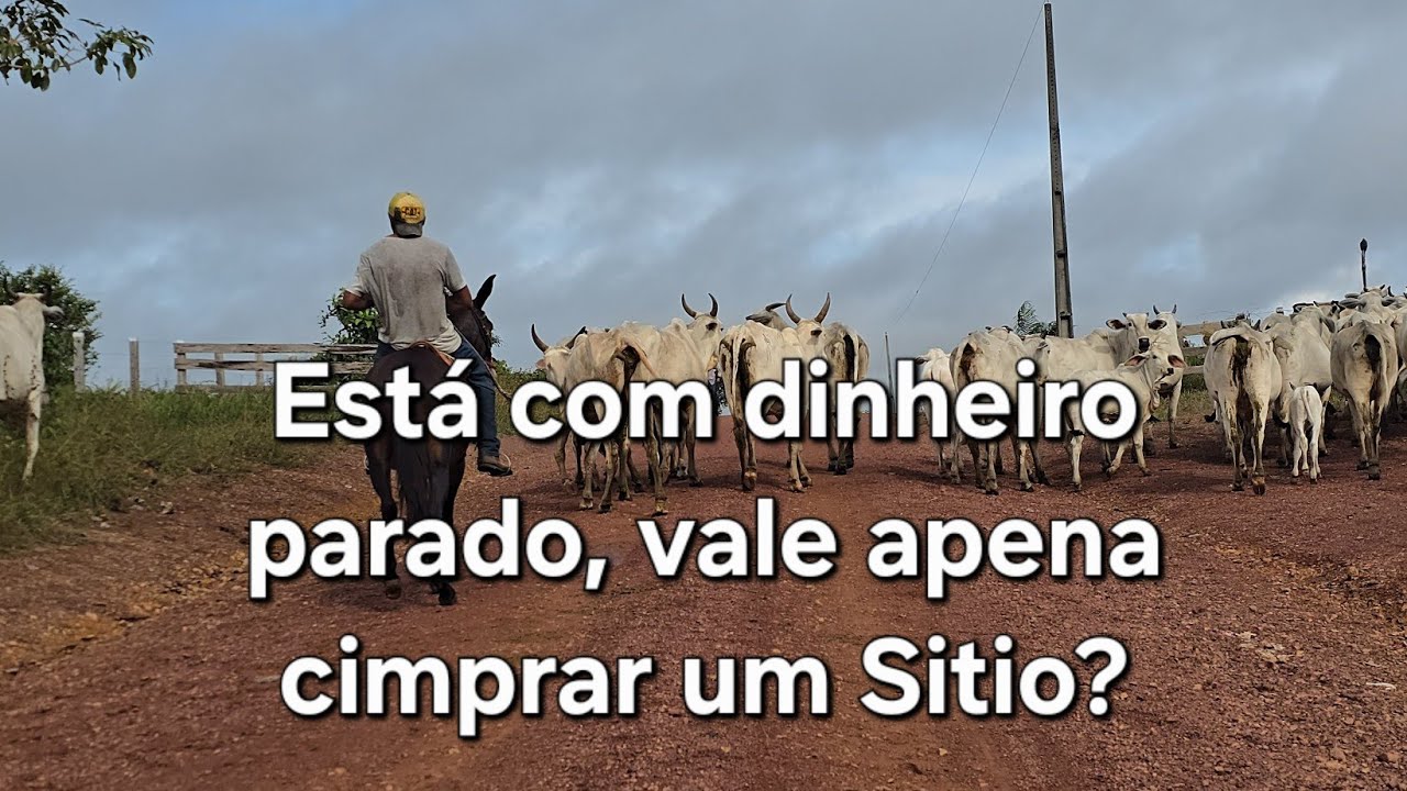 Vale apena comprar um Sitio como investimento? Minha opinião 
