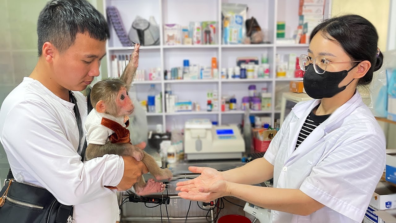 Dad took Cubis to the vet for a routine checkup!