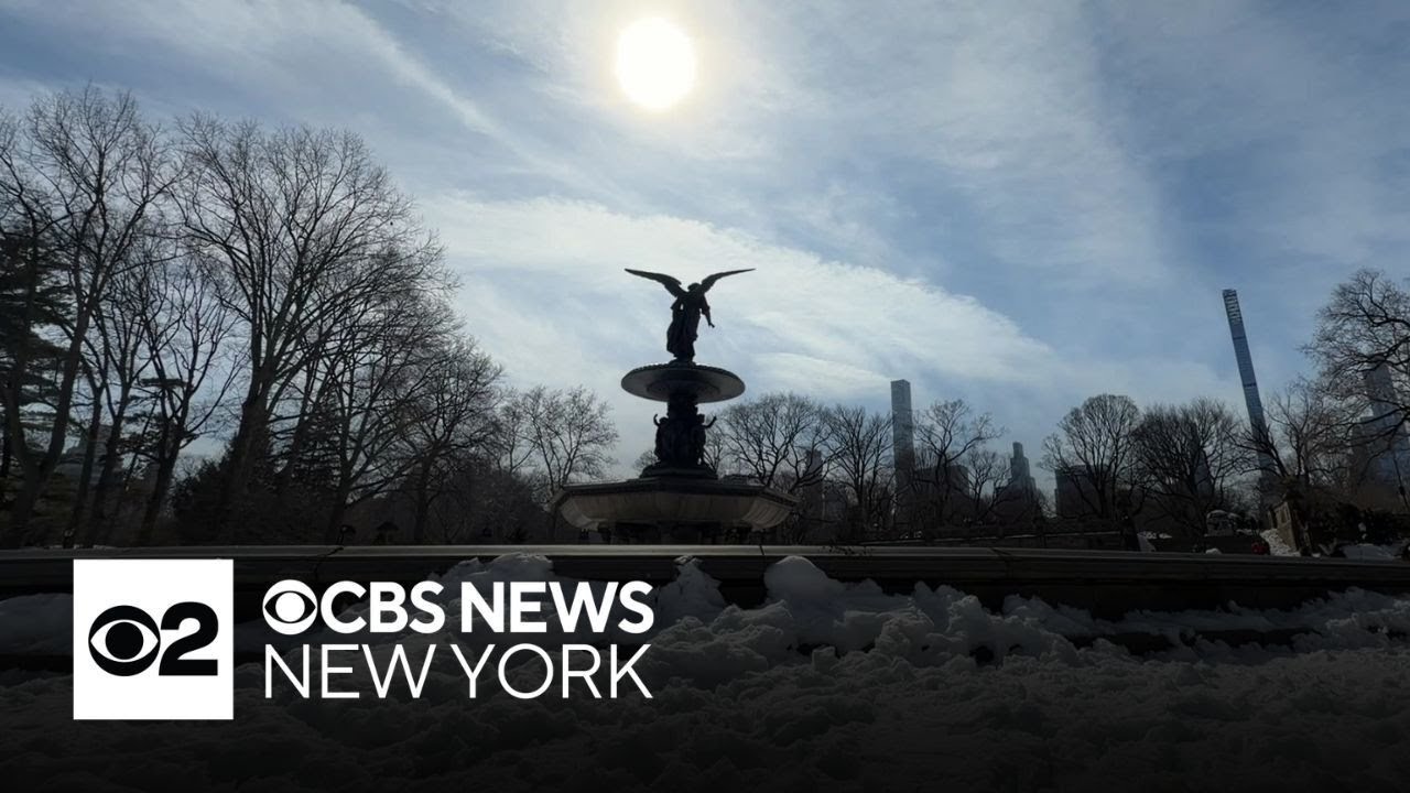 Sunshine melts snow, brightens moods across NYC
