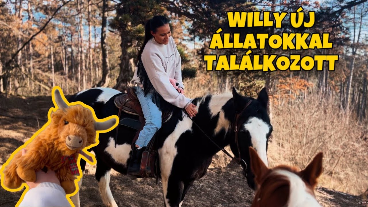 Willy új állatokkal találkozott,Lovagoltunk, póniztunk 👩🏽‍🌾 #VLOG #highlandcows