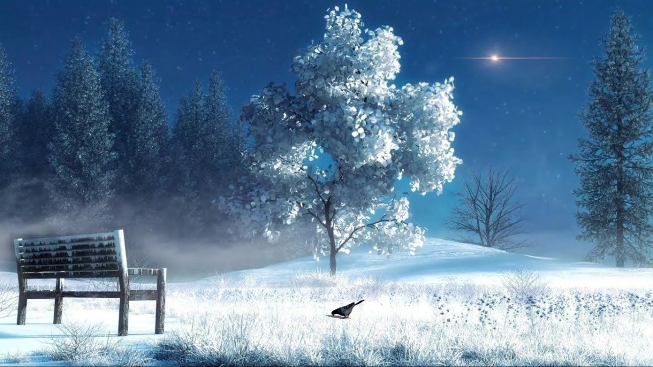 Snow Stock Footage | Royalty Free | Free HD Videos - no copyright