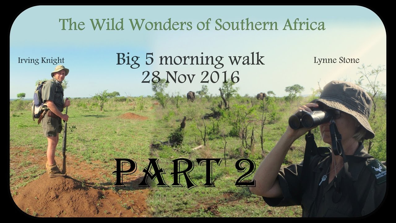 Big 5 morning walk with Irving Knight and Lynne Stone - Part 2