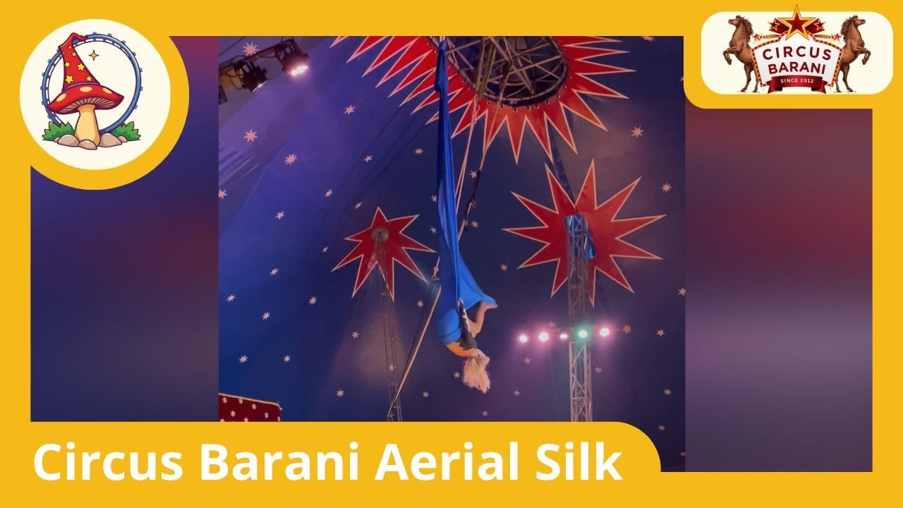 Circus Barani Aerial Silk Act 2025