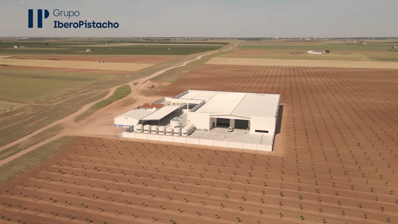 &iquest;Qu&eacute; hay que hacer para ser socio productor? - Grupo IberoPistacho