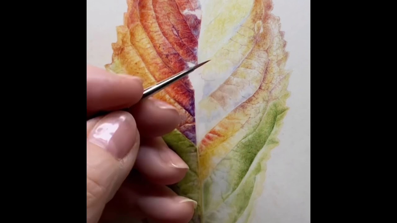 Five hours condensed into less than 5 mins. Painting on Vellum