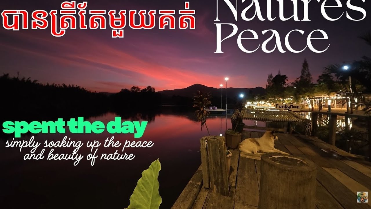Beyond the Lures: Nature's Peace When the Fishing Trip Fails