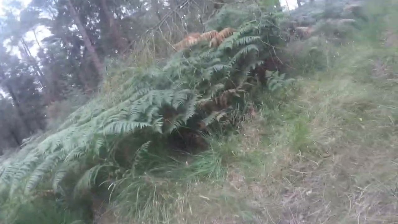 Dave Bell Long Distance Trial 2024