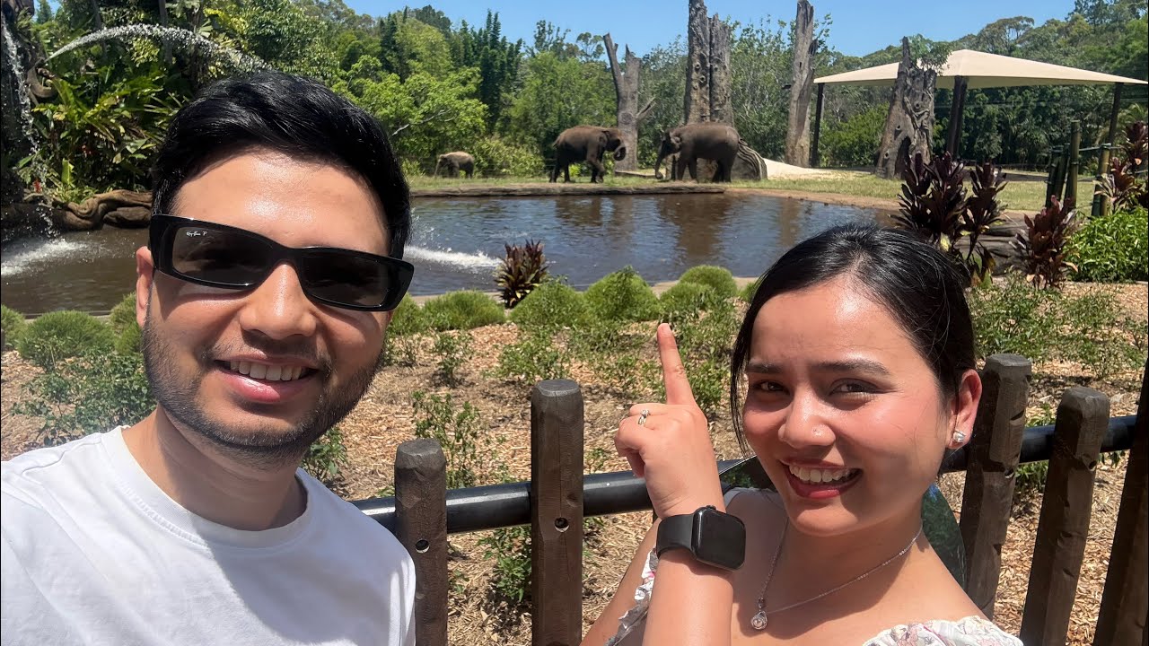 A wild day out at Australia Zoo 🦘🐨 #Brisbane #australiazoo #couple #nepalivlog #sandypuja2185