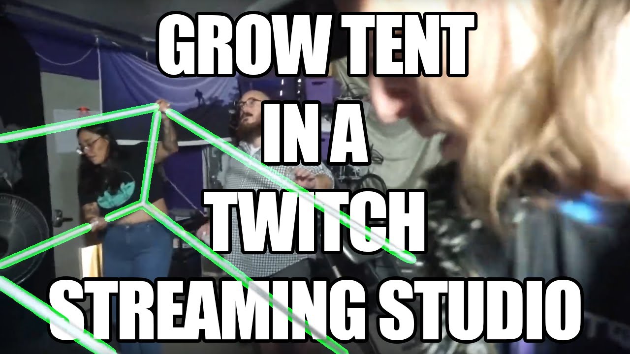 420 Twitch Streamer learns How to setup the World's Best Grow Room! Dankest Streaming Studio in CO!