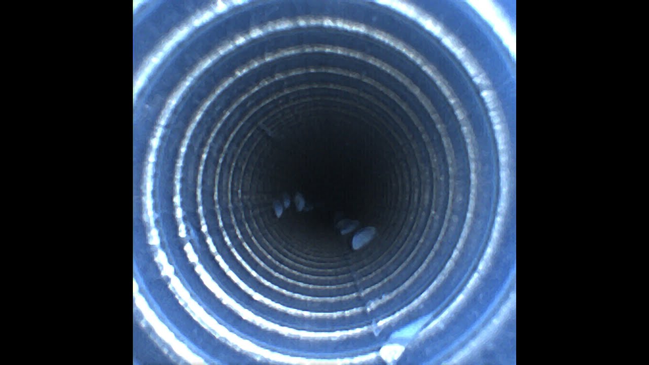 Alcohol and endoscope drying: To flush or not to flush