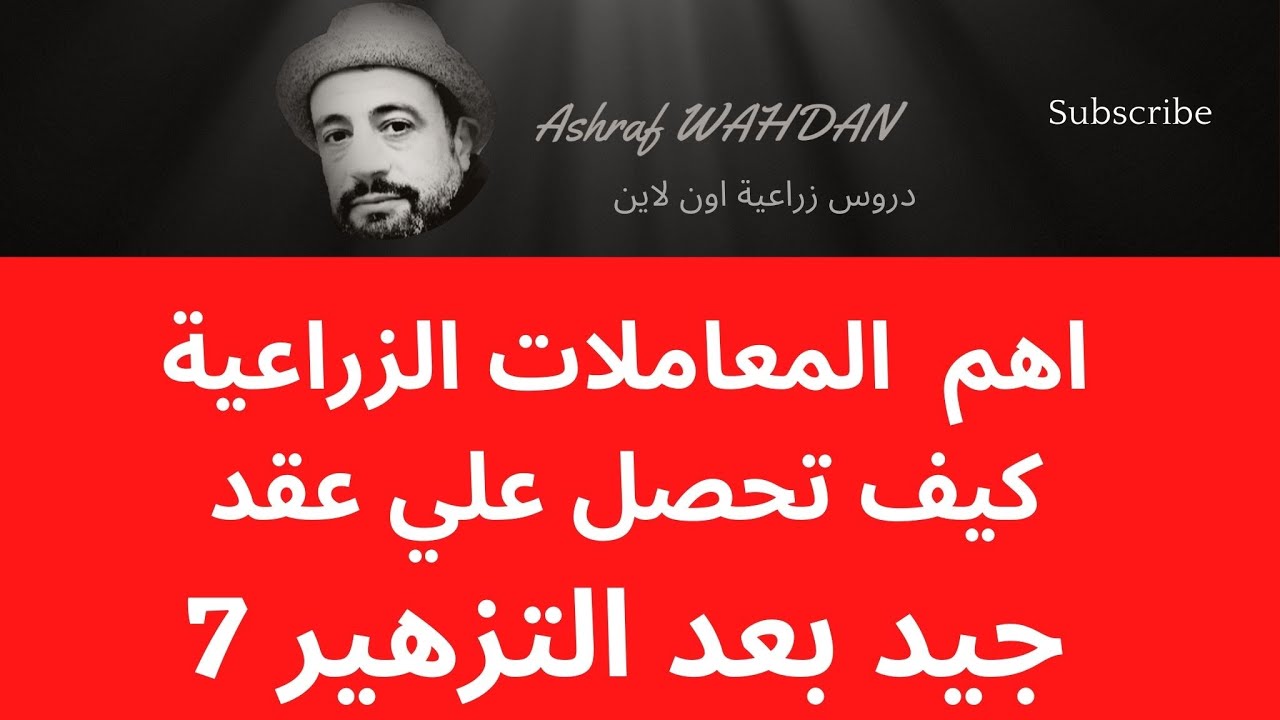 الحلقة رقم 7 كيف تحصل علي عقد جيد بعد التزهير