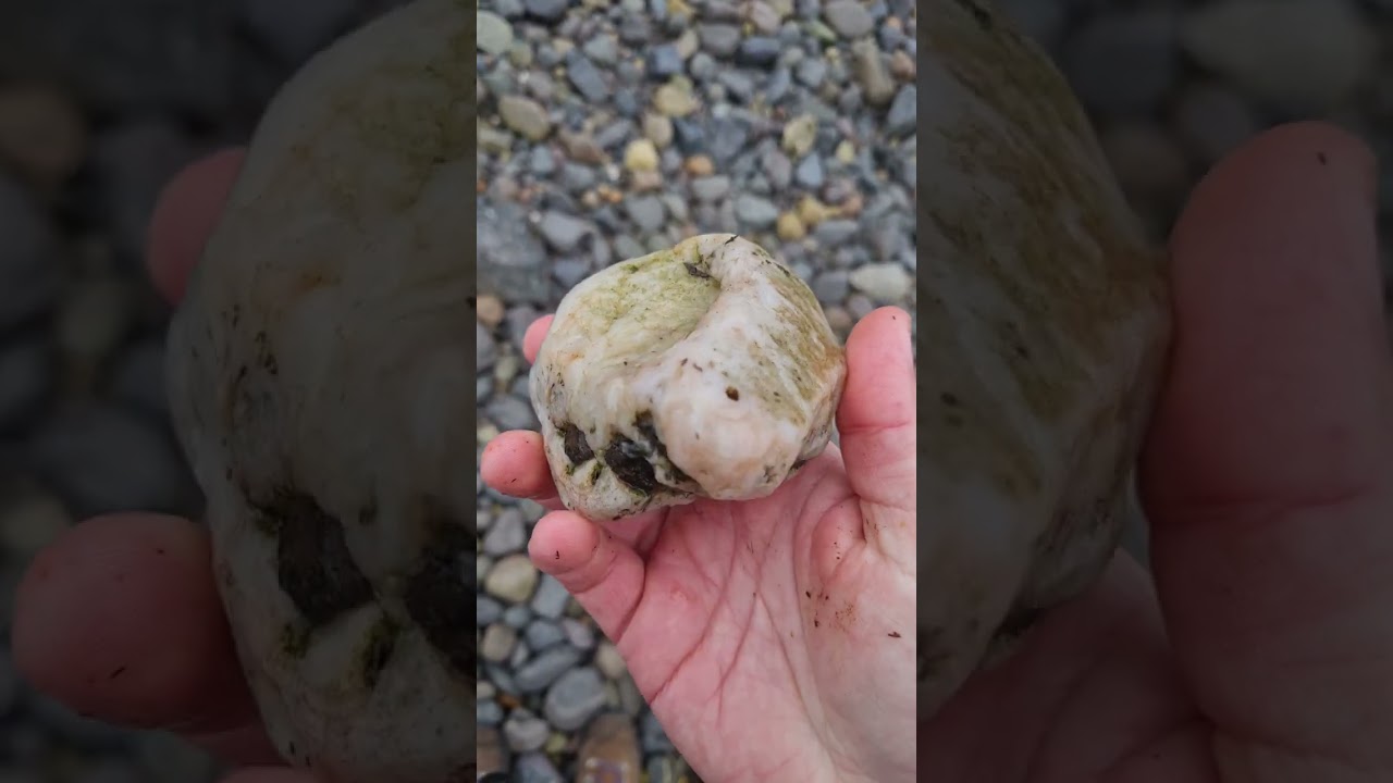 Collecting agates at Tayport in Scotland in 2023