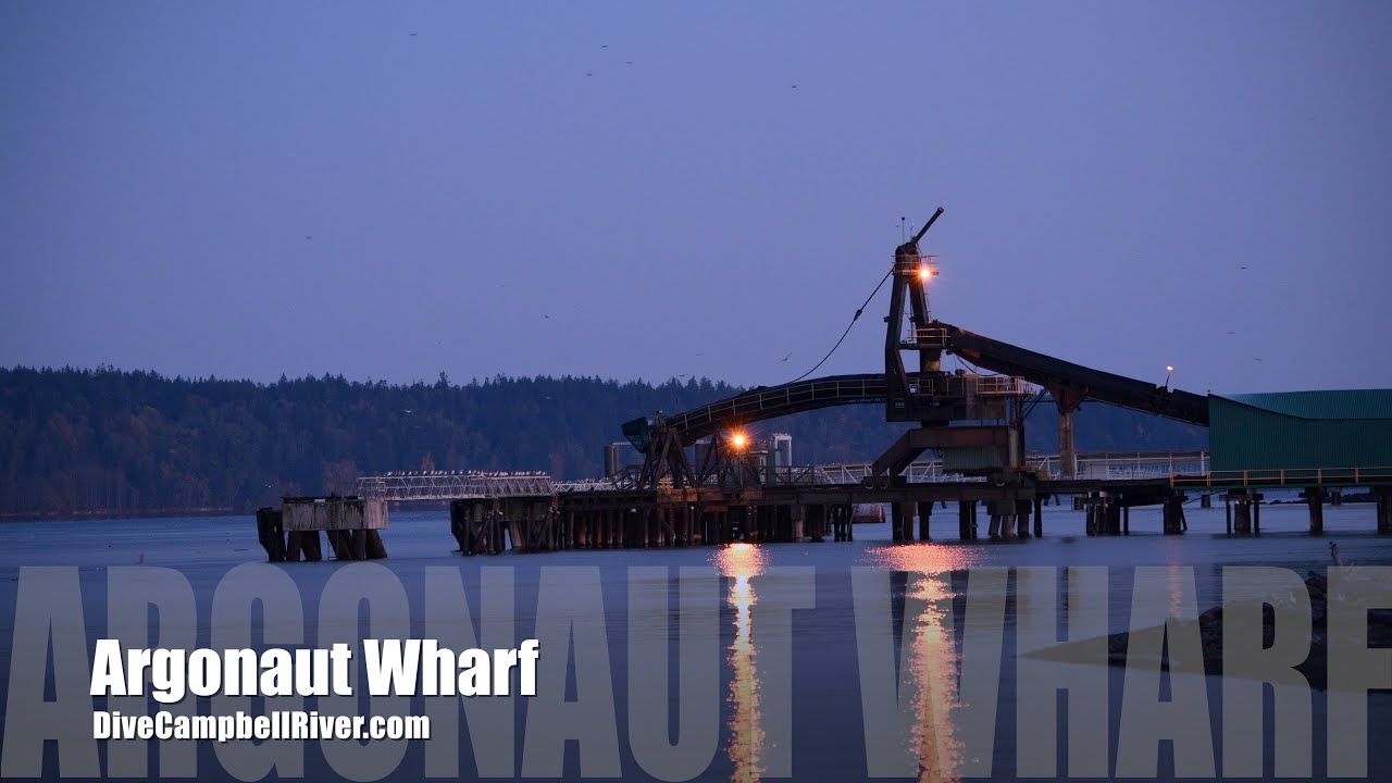 Dive Campbell River - Argonaut Wharf 2020 4K