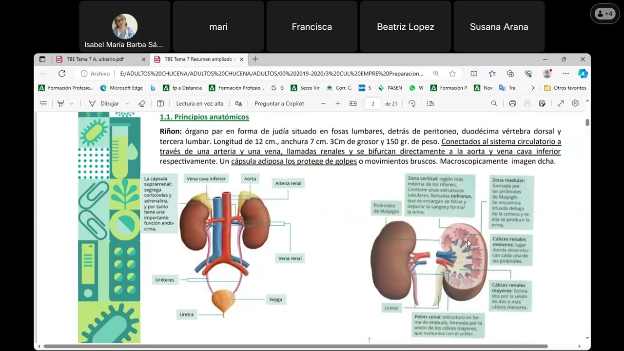 TBE Tema 7 