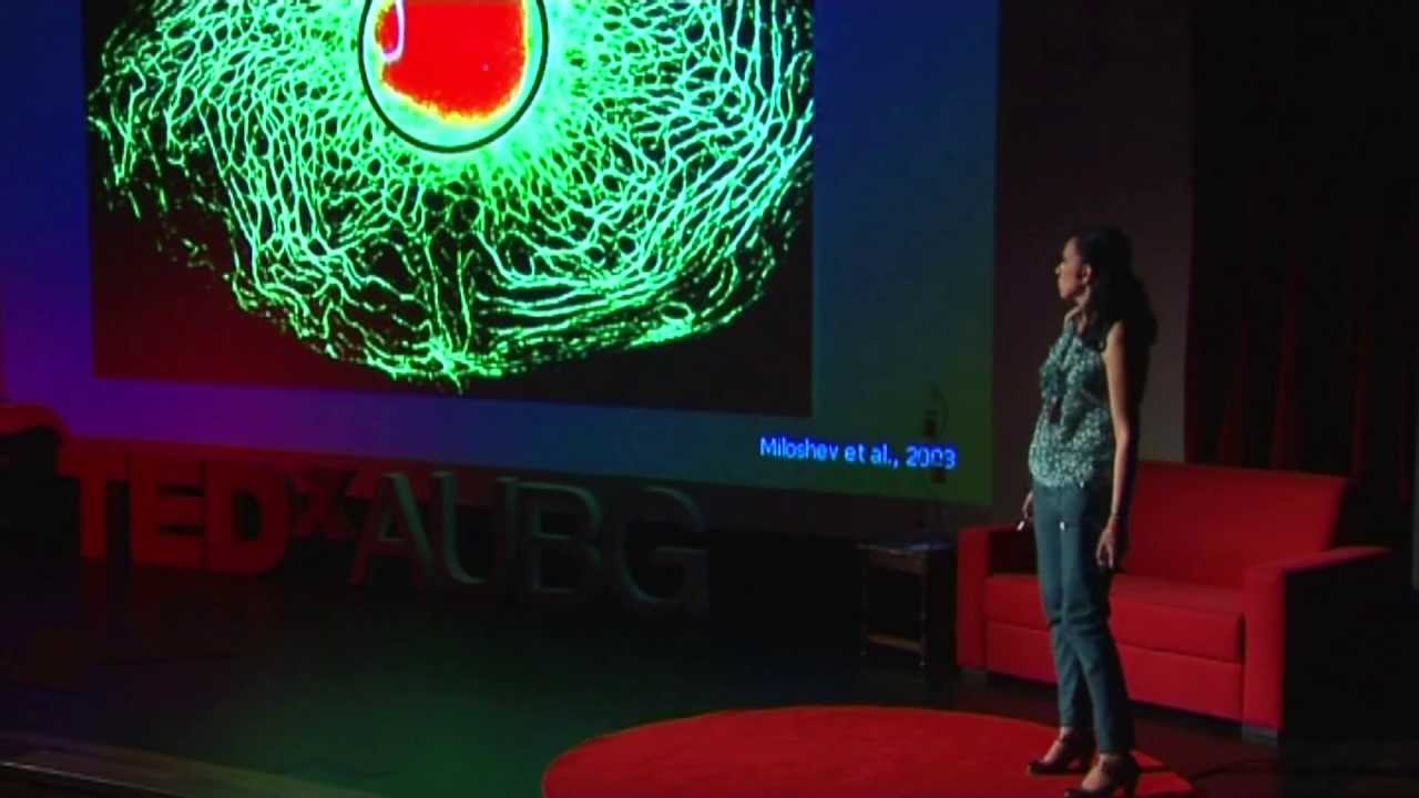 How genetics and environment work together to shape our destiny: Milena Georgieva at TEDxAUBG
