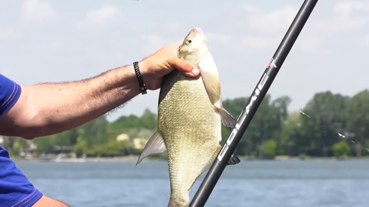 A PESCA CON LA CANNA ROUBAISIENNE NEI LAGHI DI MANTOVA | Colmic | Pesca TV