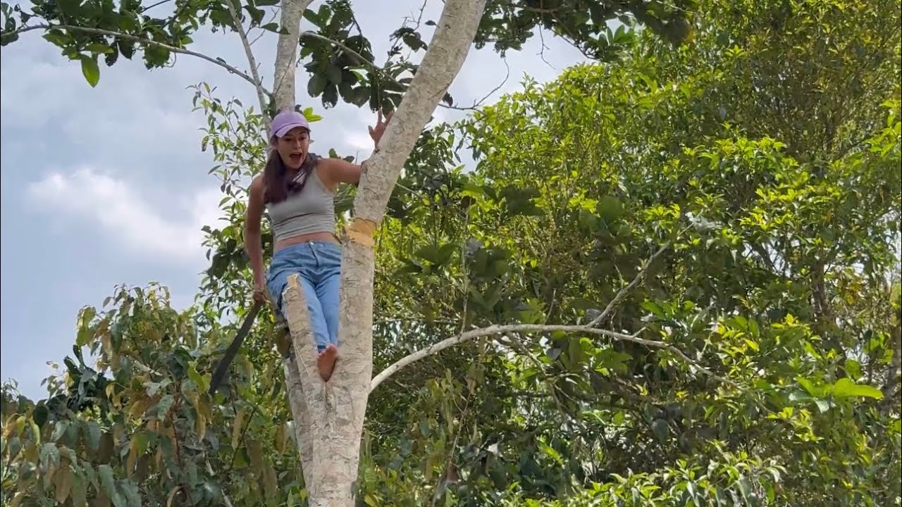 Tuvimos que talar un Árbol ya con frutos 💔😱 ~ Saida ZC ~ 💚